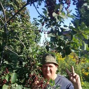 ���������� �����������, ���� ������� �������, 56 ���, ������������ ��� ������, ����� � ���������, c�������� ���������, ���������