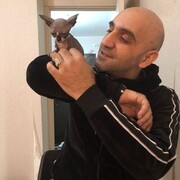  --,   , 40 ,   ,   