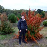  ,   Ratmir, 33 ,   ,   , c 