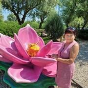   ,   , 61 ,     