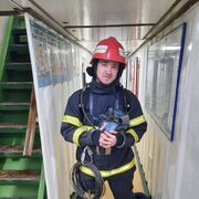 ���������� ���������, ���� ������� ���������, 29 ���, ������������ ��� ������, ���������