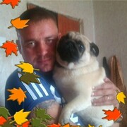 ���������� ��������, ���� ������� ������, 38 ���, ������������ ��� ������, ����� � ���������, c�������� ���������, ���������