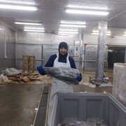 ���������� ������, ���� ������� ����, 46 ���, ������������ ��� ������, ����� � ���������