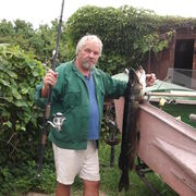 ���������� �����������, ���� ������� �����, 75 ���, ������������ ��� ������, ����� � ���������, c�������� ���������