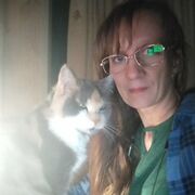 ���������� �����, ���� ������� �������, 48 ���, ������������ ��� ������, ����� � ���������, c�������� ���������