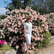 ���������� ���������, ���� ������� �����, 58 ���, ������������ ��� c�������� ���������