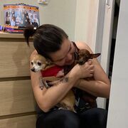 ���������� �����-���������, ���� ������� ����, 43 ����, ������������ ��� ������, ����� � ���������, c�������� ���������