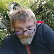 ���������� ����, ���� ������� �������, 62 ����, ������������ ��� ������, ����� � ���������, c�������� ���������, ���������