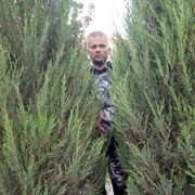 ���������� ����� �������, ������� ����, 36