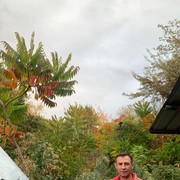 ,   , 46 ,   ,   , c 