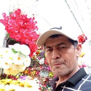 ���������� ������, ���� ������� ����, 52 ����, ������������ ��� ������, ����� � ���������, ���������