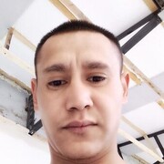  ,   Memor urinov, 31 ,   ,   