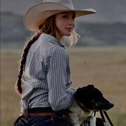 ���������� ����, ������