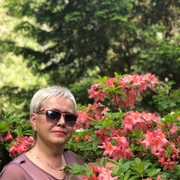  ,   Alla, 65 ,  