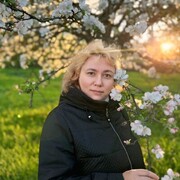  ,   , 53 ,   , c , 