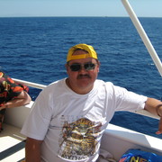  ,   , 62 ,  
