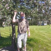 ���������� �����-���������, ���� ������� ���������, 44 ����, ������������ ��� ����� � ���������, c�������� ���������