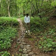 ���������� ������, ���� ������� Maks, 31 ���, ������������ ��� ������, ����� � ���������