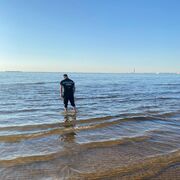 ���������� �����-���������, ���� ������� �����, 31 ���, ������������ ��� ������, ����� � ���������, c�������� ���������