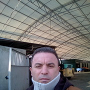  ,   , 53 ,  