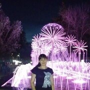  ,  , 34
