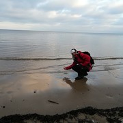 ������ ������ ����