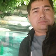 ���������� �������, ���� ������� Zafar, 40 ���, ������������ ��� ������, ����� � ���������