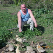  ,   ISKANDER, 73 ,   ,   , c 