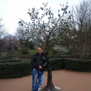  ,   , 52 ,   