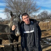 ���������� �����������, ���� ������� FILIPP, 31 ���, ������������ ��� ����� � ���������, ���������