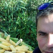 ���������� ������, ���� ������� ������, 38 ���, ������������ ��� ������, ����� � ���������, c�������� ���������