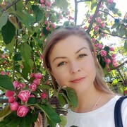 ���������� ���, ���� ������� �����, 41 ���, ������������ ��� c�������� ���������