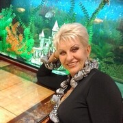 ���������� �������, ���� ������� �����, 66 ���, ������������ 