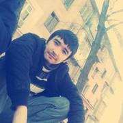 ���������� �������, ���� ������� BOXODIR, 36 ���, ������������ ��� ������