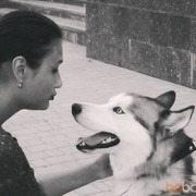 ���������� �����������, ���� ������� ��������, 34 ����, ������������ ��� ������, ����� � ���������, c�������� ���������