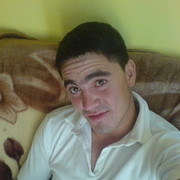  ,   Umid13270560, 33 ,   ,   , c , 