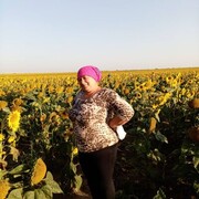  ,   , 61 ,   ,   