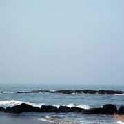  ,   Gu5557, 75 ,   