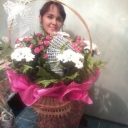  ,   , 53 ,   ,   , c 