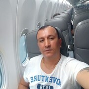  --,   , 41 ,   , 