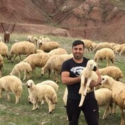  ,   Ozkan, 41 ,   ,   