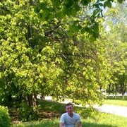  ,   , 55 ,   