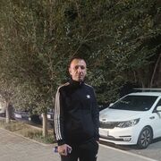  -,   , 44 ,   ,   