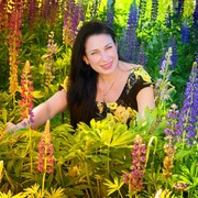 ���������� ������, ���� ������� �������, 48 ���, ������������ ��� ������, ����� � ���������, c�������� ���������