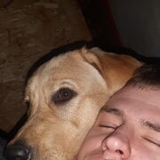 ���������� �����������, ���� ������� Alexey, 30 ���, ������������ ��� ������, ����� � ���������