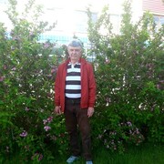 ,   , 62 ,  