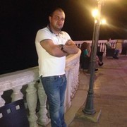  ,   Wild, 77 ,   