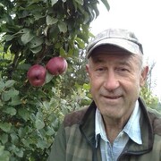 ���������� ������� �����, ���� ������� �������, 62 ����, ������������ ��� ������, ����� � ���������, c�������� ���������