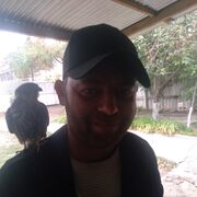 ���������� ������, ���� ������� ����, 43 ����, ������������ ��� ������, ����� � ���������