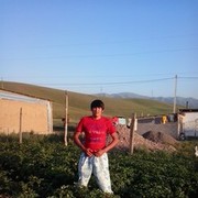  -,   Tiko, 29 ,   ,   , c 